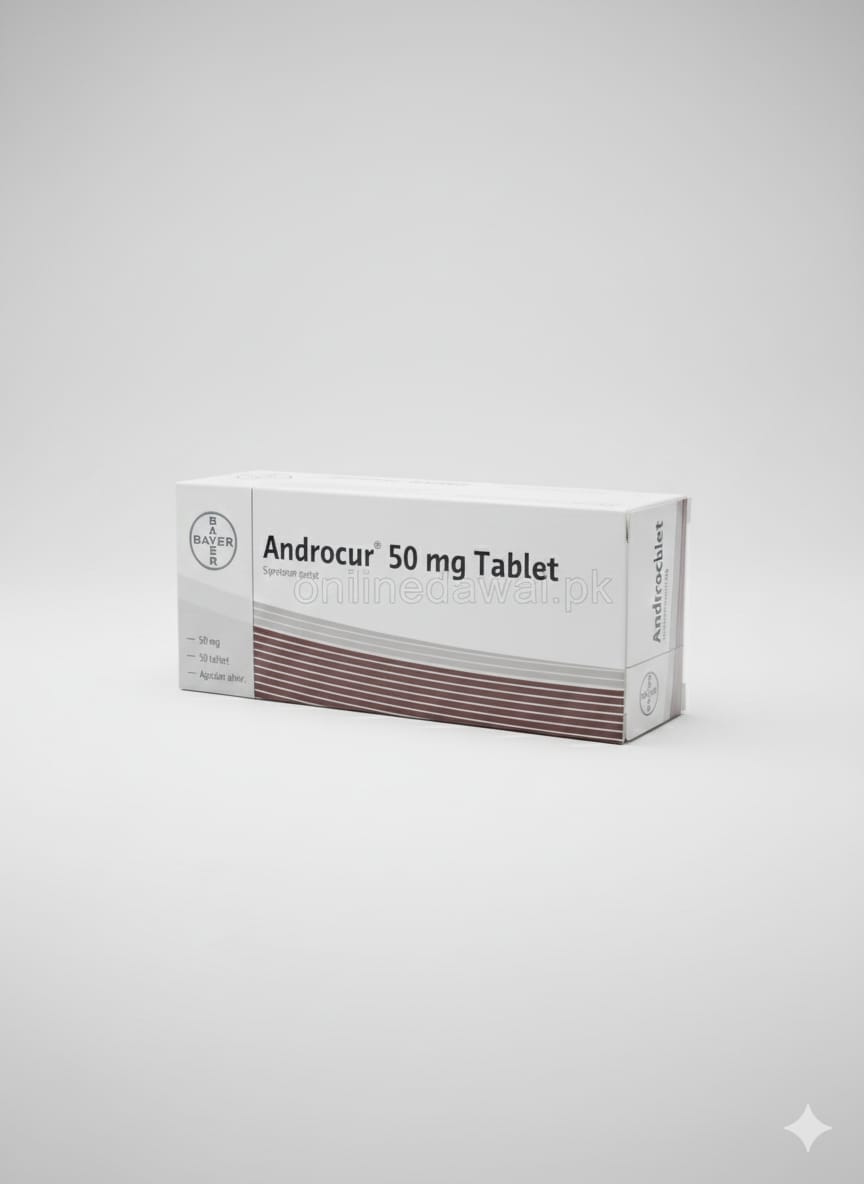 WhatsApp Image 2025 12 18 at 20.40.34 4